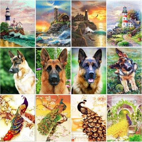 Diy Diamond Painting Color Oil Painting Animated Lighthouse Landscape Domestic Pet Dog German Shepherd Wild Color Peacock Mural