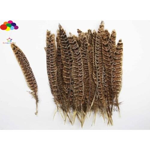 15-20 cm 6-8inch 100pcs/lot Size Super Quality Natural Ringneck Pheasant Tail Feathers