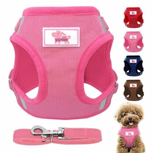 Cute Puppy Small Dog Cat Harness and Walking Leads Set 5 Sizes Pet Winter Vest XS-XL