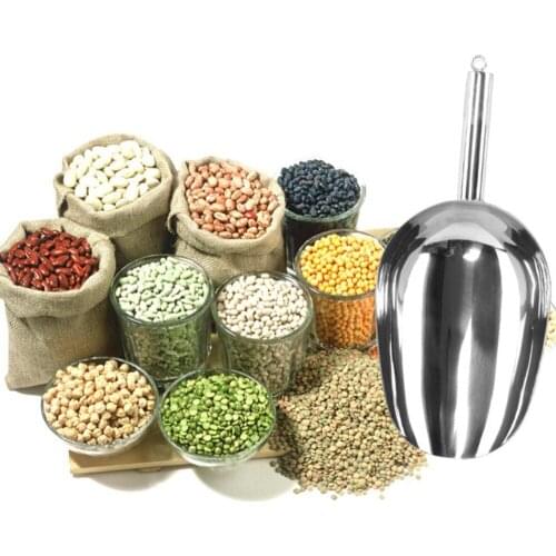 100D 19cm Stainless Steel Ice Shovel Flour Grain Tea Food Multi-purpose Shovel Buffet Candy Bar Ice Shovel Home Useful Tool