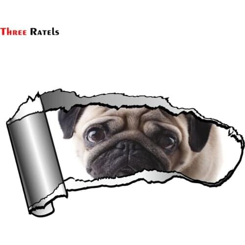 Three ratels FTC-848#20x10.8cm Ripped Open Gash Torn Metal Design With Cute Pet Pug Dog Motif Vinyl Car Sticker