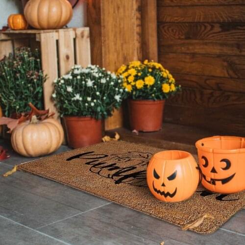Halloween Door Mat Avoid Slipping Durable Carpet Floor Mat Anti-Slip Carpet Absorbent Shower Bath Mat Floor Bedroom Kitchen Mat