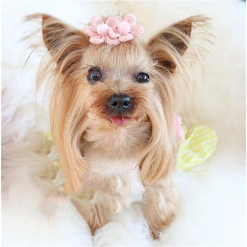 2020 New Pet sweet flower hairpin frog clip Teddy Shih Tzu Maltese dog clip 20pcs/lot