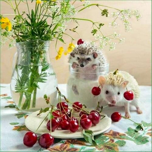 100% Full 5D Diy Daimond Painting "Hedgehog" 3D Diamond Painting Round Rhinestones Scenery Diamant Painting Embroidery Religion