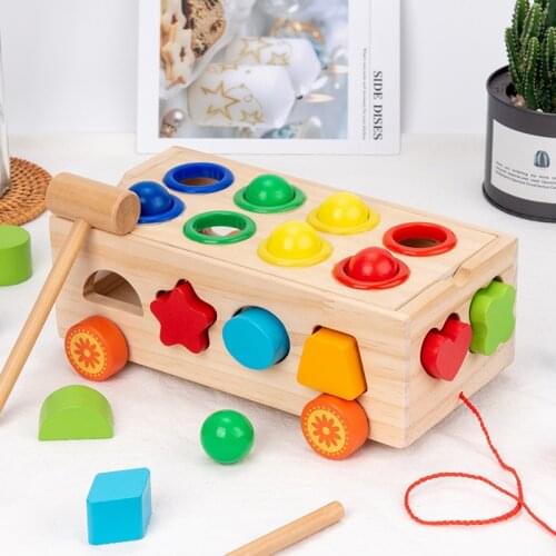 Towmap Color And Shape Educational Toys