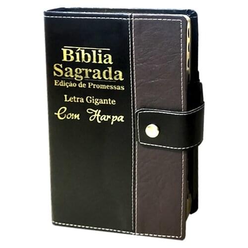 REI DAS BIBLIAS Humanities And Social Sciences