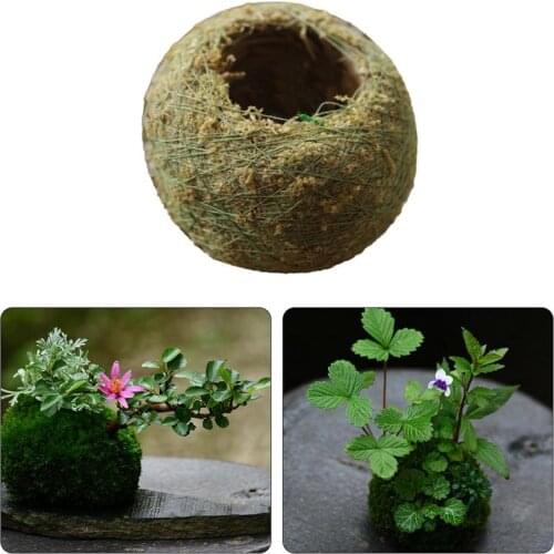 Moss Balls Japanese Moss Ball With Moss Seeds Personality Small Ventilate Flower Pot For Orchid And Bonsai Garden Decoration