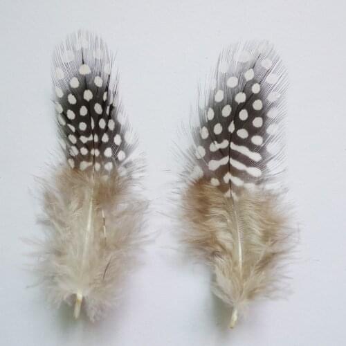 20Pcs Natural Guinea Fowl Spotted 4-9cm Chicken Pheasant Feather Beautiful Gull Plume For DIY Crafts Earring Home Decoration