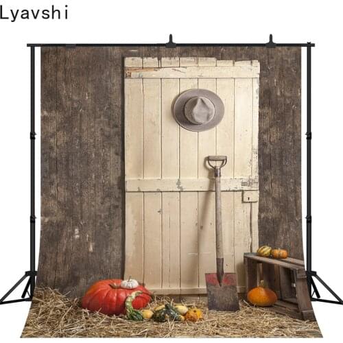 Lyavshi Rural Farm Old Wooden Warehouse Pumpkin Hat Baby Newborn Portrait Photographic Background Photo Backdrop Photo Studio