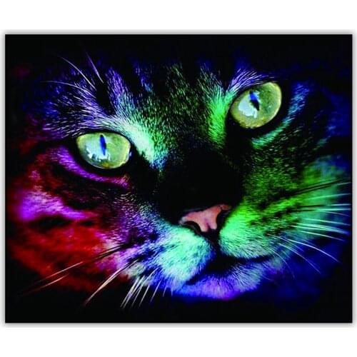 Glowing Cat 5d DIY Diamond Painting Kit Full Drill Square Crystal Mosaic Embroidery Diamand Painting Wall Art Accessories Tools