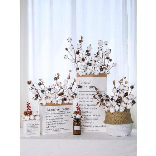 Art Natural Dried Flowers 1 Pcs Beautiful Real Cotton Flower Bouquet Display Living Room/Shop Decoration Flower Arrangement