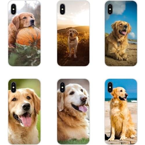 Mobile Phone Shell Cover Cute Golden Retriever Dogs For Huawei G7 G8 P8 P9 P10 P20 P30 Lite Mini Pro P Smart Plus 2017 2018 2019