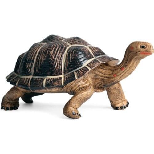 7.9inch Giant Tortoise Model Wild Life Figurine PVC Figures Tortoise Model Figure Animal Toy Educational Collection For Kids