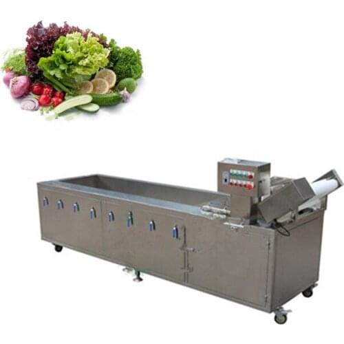 Air bubble leaf vegetable lettuce washing machine equipment Paraguay