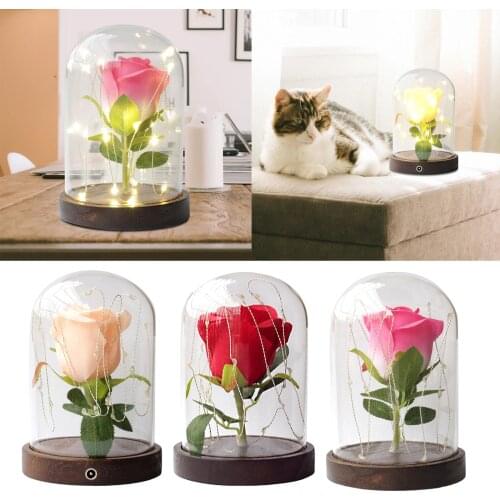 Rose Flower Preserved in Glass LED Lights That Glow with A Beautiful Flower