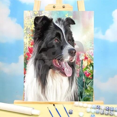 Animal Border Collie Coloring By Numbers Painting Set Acrylic Paints 40*50 Boards By Numbers Decorative Paintings Wholesale