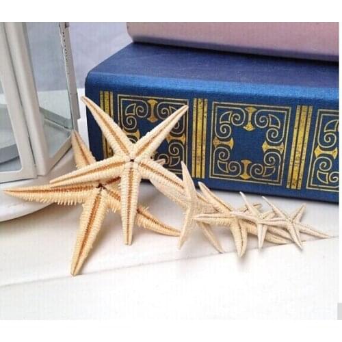 50pcs 5-7cm Natural Sea Star Wishing Bottle Starfish Home Decor Wall Stickers Adornment Material Free Shipping natural starfish