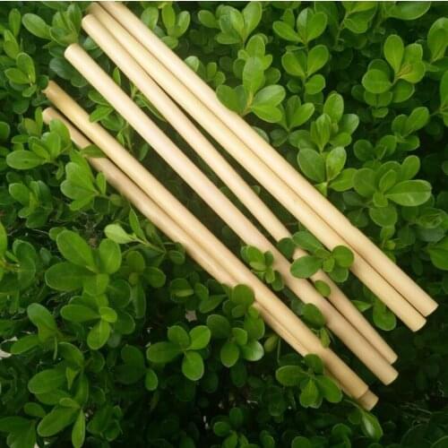Natural Bamboo Drinking Straws Juice Water Beer Straw Reusable Eco Friendly Tubularis For Party Birthday Wedding LX4371