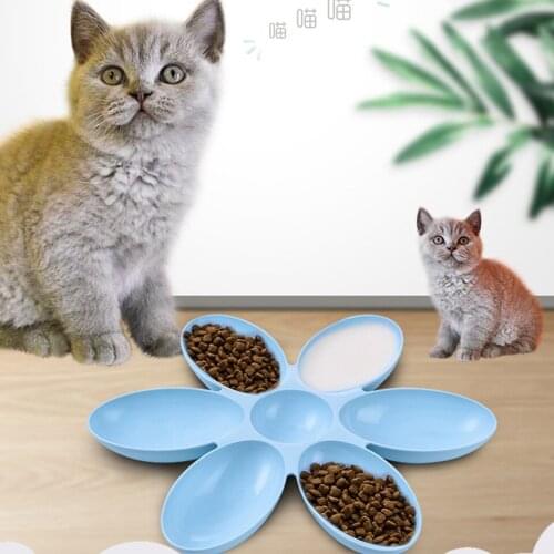 Copetsla Bowls For Dogs