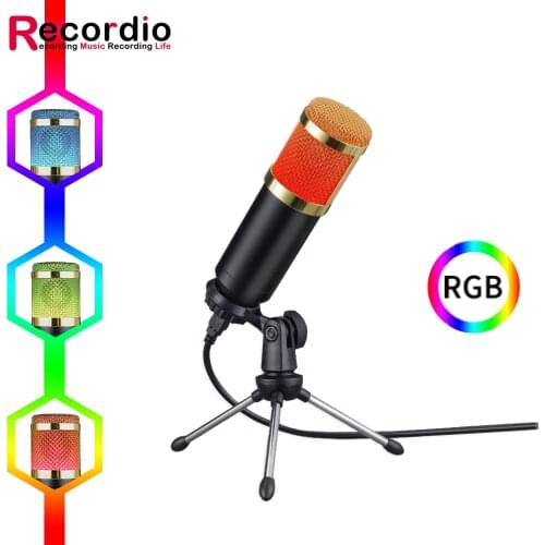 GAM-700 Professional studio broadcasting recording set condenser microphone ball-type anti-wind foam power cable black