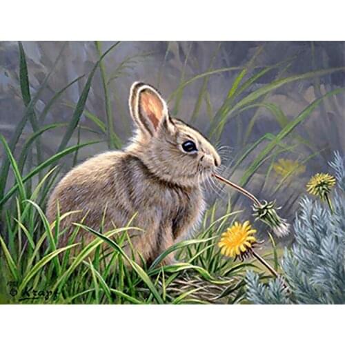 Paint By Numbers Animal rabbit HandPainted Home Decor Kits Drawing Canvas Figure DIY Oil Painting Pictures By Numbers
