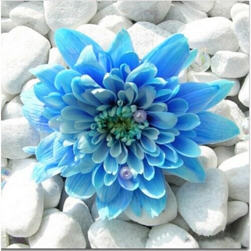 5D Diy Diamond Painting Cross Stitch Diamond Embroidery Blue Flower Needlework Crafts Diamond Mosaic Kit Pictures Of Rhinestones
