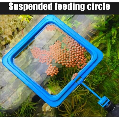 Aquarium Feeding Ring Floating Food Tray Feeder Fish Tank Station Square/Circle Accessory with Suction Cup TUE88