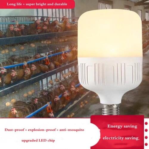 ZAIXIAO Light Bulbs