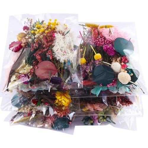 Dried Flower Crafts-Colorful Pressed Flower DIY Candle Resin Jewelry Nail Pendant Craft Making Art Flower Decoration Drop Ship
