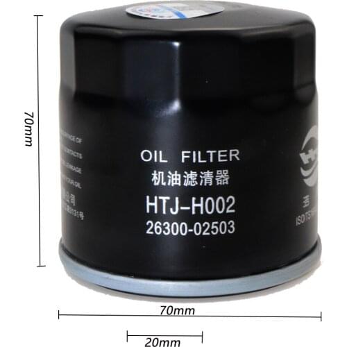 Car Oil Filter For Renault Scenic III 2010 2011 2012 2013 2014 2015 2016 2.0L Velsatis 3.5L 26300-02503
