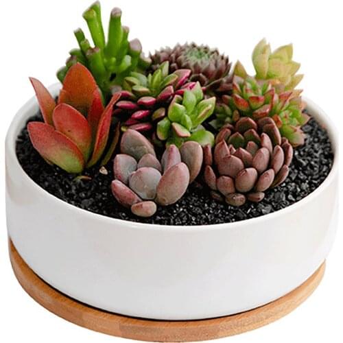 Succulent Basin Flower Vase Ceramic Pot Tray Indoor Bonsai Decor Container Bamboo White Rectangle Saucers Home Garden Flowerpots