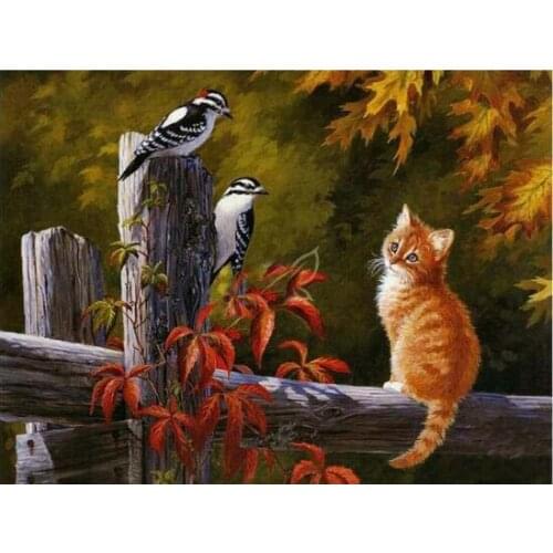 TOUOILP square full Diamond Painting Katten 5