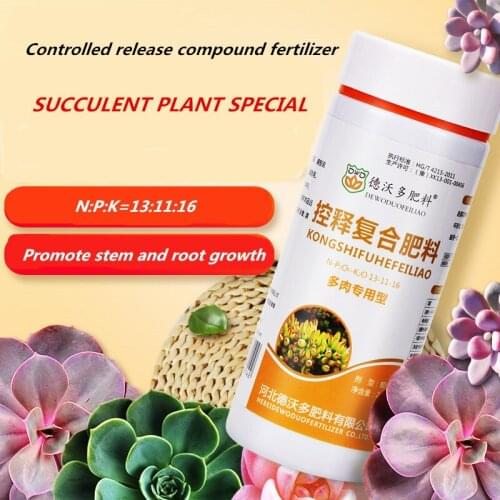 250g Slow release fertilizer granule controlled release compound fertilizer Special fertilizer for succulent plant for bonsai