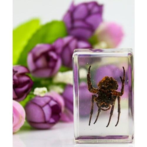Transparent Scorpion Crystal Amber Table Craft Decor Insect Teaching Specimen Paperweight Center Home Decor Craft Collection