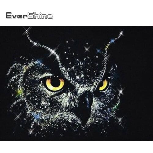 Evershine Diamond Painting Cartoon Owl Diamond Embroidery Full Display Diamond Mosaic Cross Stitch Kit Animals Bead Needlework
