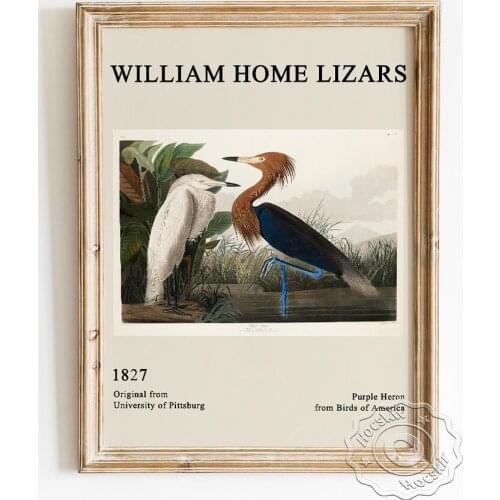 William Home Lizars Exhibition Museum Poster, Purple Heron From Birds Of America Canvas Painting, Animal Wall Picture Home Decor