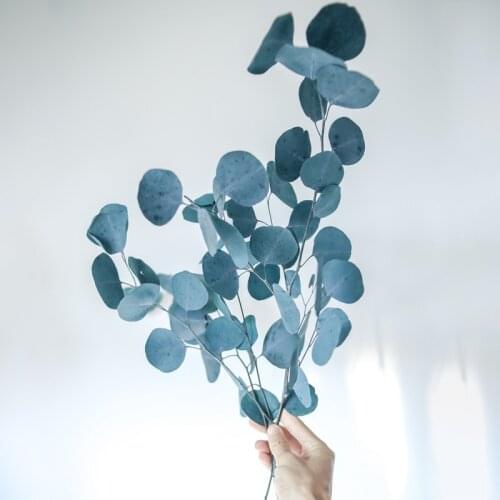 Immortal Preserved Dried Flower Blue Red Eucalyptus Leaf Arrangement Home Office Desktop Wedding Valentines Day Art Decoration