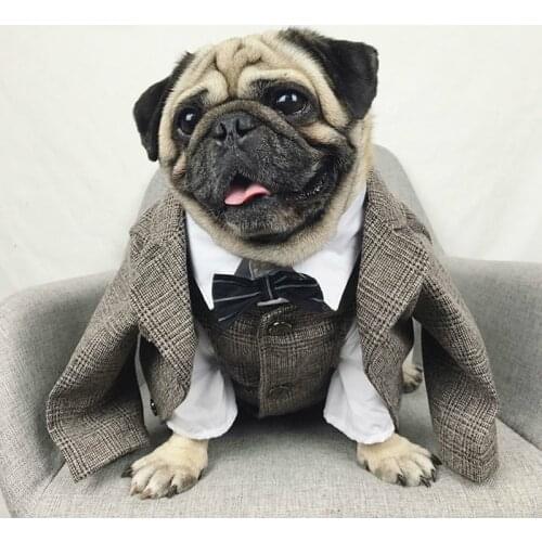 2020 Pet Dog Clothes for Dogs Handsome Gentry Dog Wedding Costume French Bulldog Pug Vest Suit for Cat Small Medium Dogs XS-XXXL