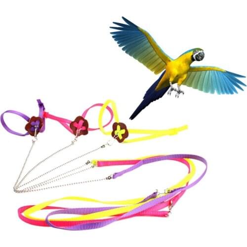 Adjustable Parrot Leash Pet Lizard Birds Harness Leash Outdoor Training Rope Belt Walking Lead Bird Leash - Color Random