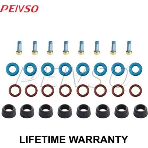 Fuel Injector Rebuild Seal Kit Orings Filters Pintle Caps 4.8 5.3 V8