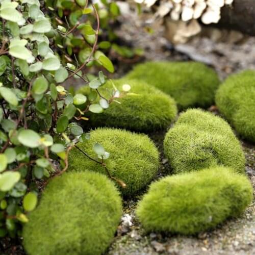 4PCS Artificial Moss Stone Bonsai Decor Fairy Garden Craft Miniature Micro Landscape Green Grass Decoration Mini Home Ornament