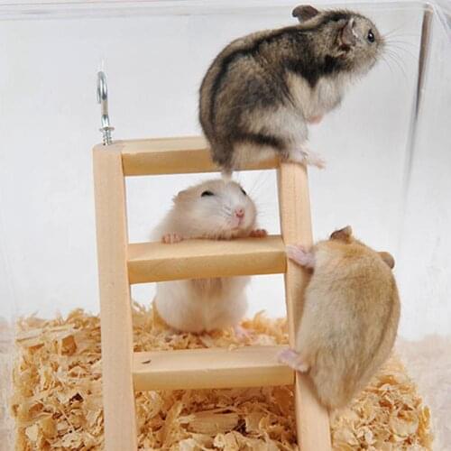 Wooden Climbing Ladder Hamster Guinea Pig Mouse Playing Climbing Toy Pet Cage Ornament