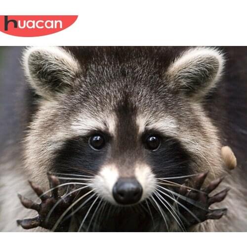 HUACAN Full Diamond Mosaic Cross Stitch Raccoon Handcraft Gift DIY 5D Diamond Painting Embroidery Animal Series Art Wall Decor