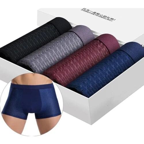 4pcs/lot Ice Silk Underwear Sexy Summer Mens Underwear Boxer Bamboo Mesh Shorts Mens Breathable Soft Fashion Large L-4XL Pants