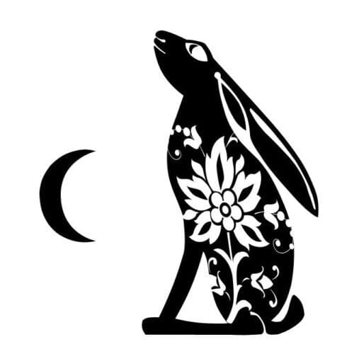 For 1Moon Gazing Summer Flower Hare Gloss Vinyl Car Sticker Decal, Unique Design Styling