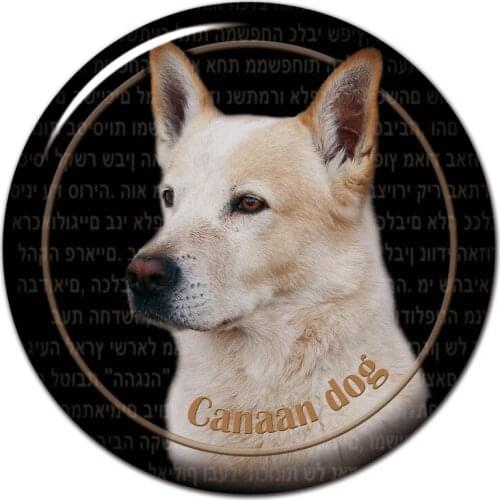 S30489# 13CM/15CM/17CM PVC Decal Canaan Dog Car Sticker Waterproof for Bumper Rear Window Laptop Toilet