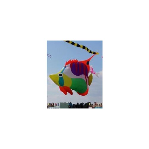 Cartoon elves inflatable animal fishing rainbow nylon fabric soft Jack kite 10m big mackerel single line kites windsock pilotage