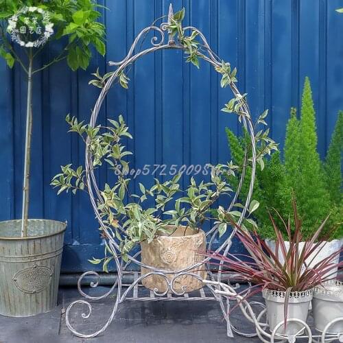 New wrought iron magic mirror climbing frame simple folding floor-standing old flower shelf garden balcony decorative plant stan