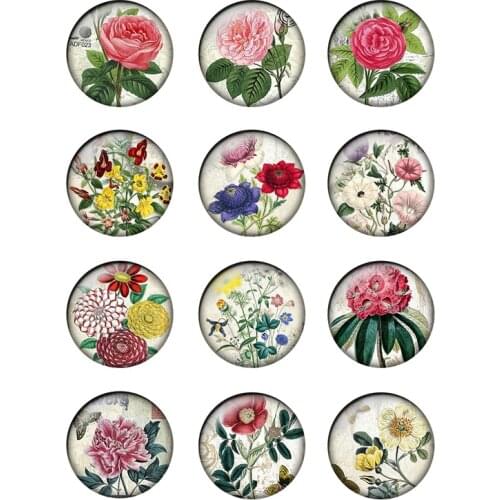 24pcs/lot Beauty Vintage Flowers Rose Birds Pattern Glass Cabochons 10mm To 25mm Glass Dome DIY Jewelry Making Findings T145