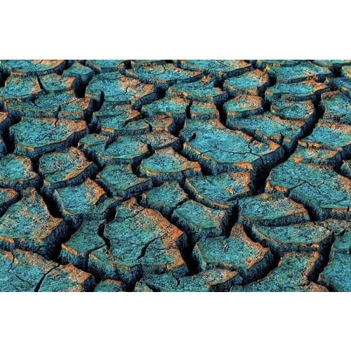 Canvas printed Impressionist artwork of care for the environment , photo of Drought the land protests (no frame) free shipping